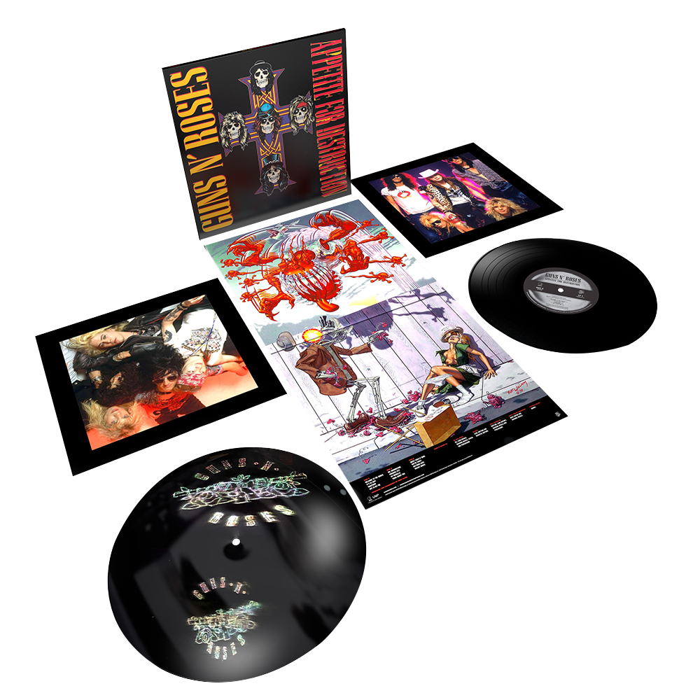 Appetite For Destruction - 2LP 180-Gram Audiophile Vinyl Edition