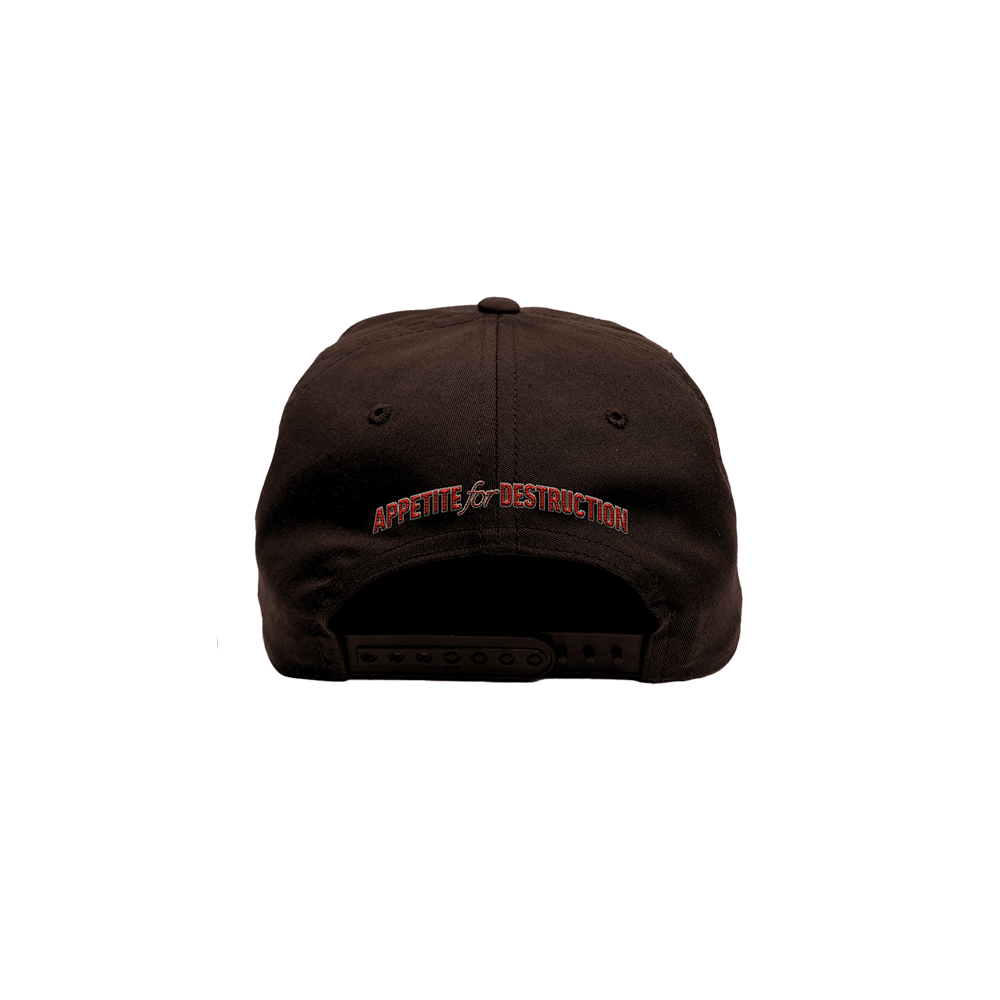 GN'R Appetite For Destruction Snapback Hat Back